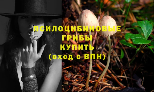 дурь Белоозёрский
